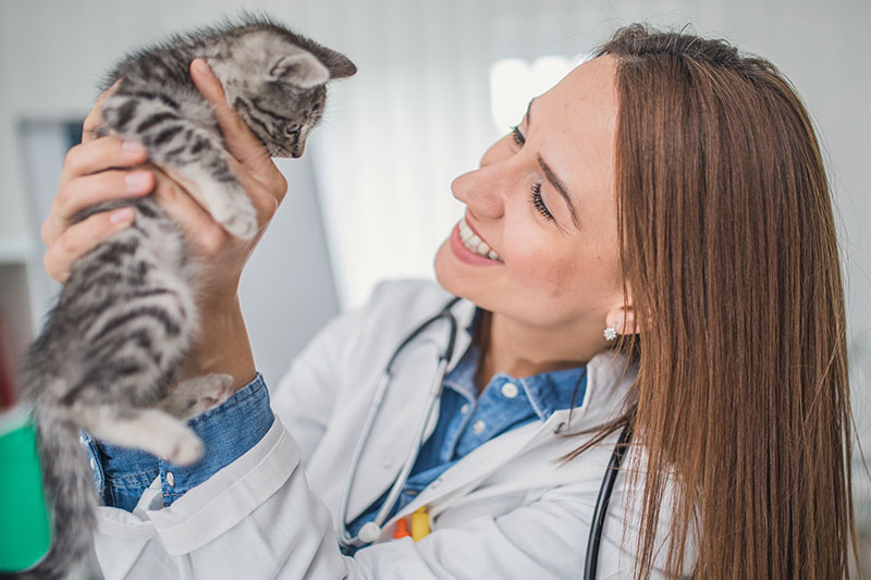 female doctor holding up kitten